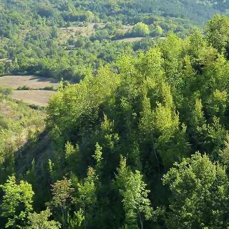 Belvilla By Oyo Del Por Azzolo Holiday home Seggiano